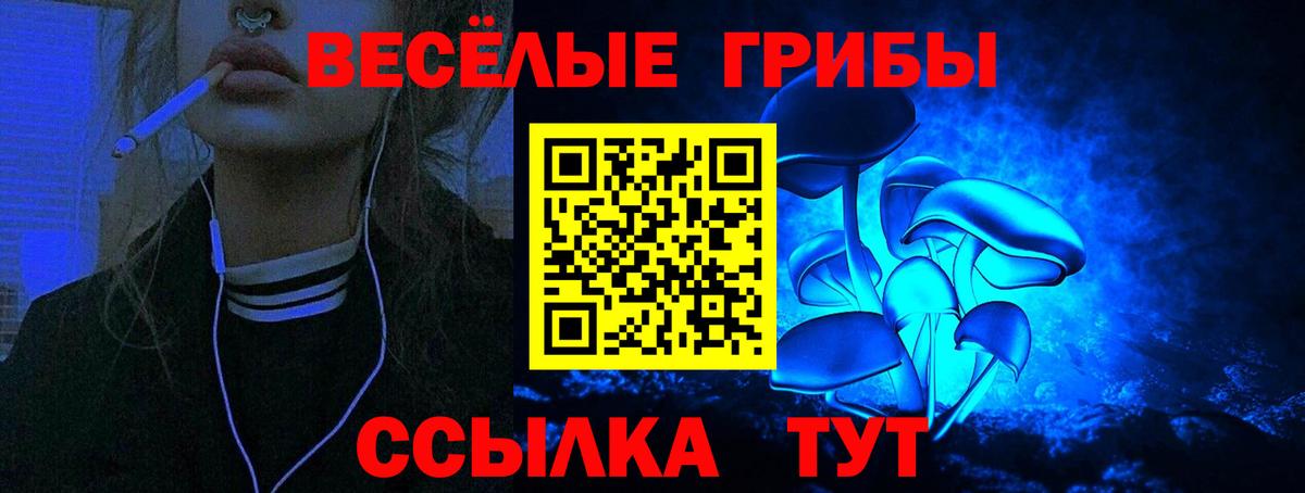 Галлюциногенные грибы Psilocybe Моздок
